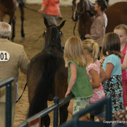 The Egyptian Event 2009 Fun Photos