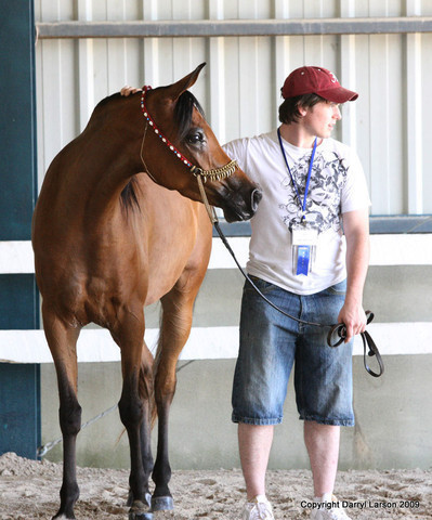 The Egyptian Event 2009 Fun Photos