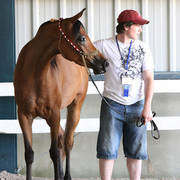 The Egyptian Event 2009 Fun Photos