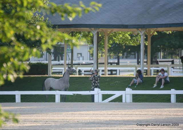 The Egyptian Event 2009 Fun Photos