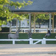 The Egyptian Event 2009 Fun Photos