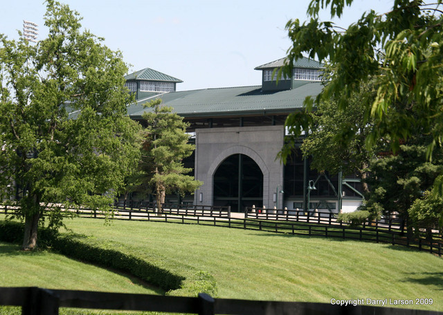 The Egyptian Event 2009 Fun Photos