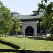 The Egyptian Event 2009 Fun Photos