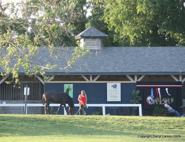 The Egyptian Event 2009 Fun Photos