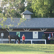 The Egyptian Event 2009 Fun Photos