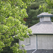 The Egyptian Event 2009 Fun Photos