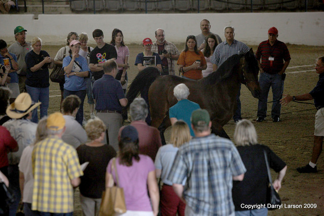 The Egyptian Event 2009 Fun Photos