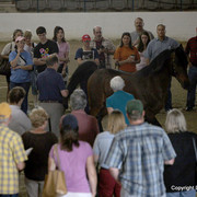 The Egyptian Event 2009 Fun Photos