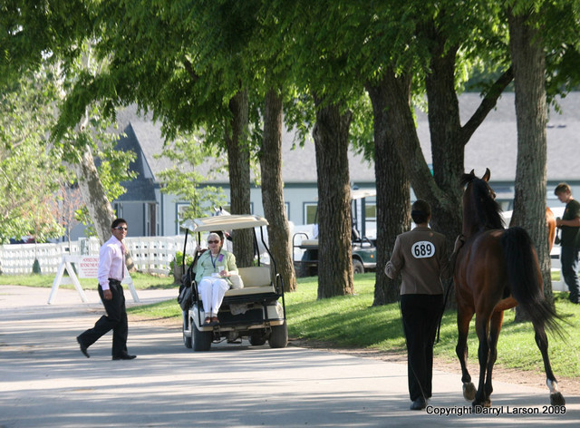 The Egyptian Event 2009 Fun Photos