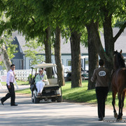 The Egyptian Event 2009 Fun Photos