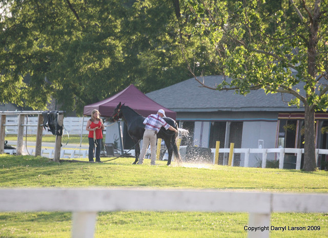 The Egyptian Event 2009 Fun Photos