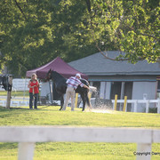 The Egyptian Event 2009 Fun Photos