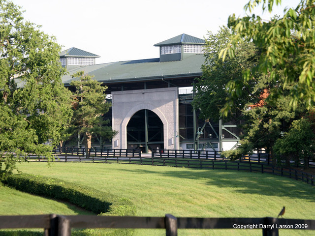 The Egyptian Event 2009 Fun Photos