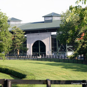 The Egyptian Event 2009 Fun Photos