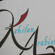 The Egyptian Event 2009 Fun Photos