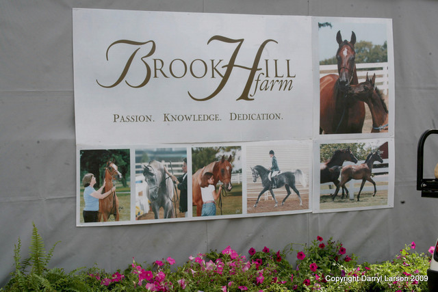 The Egyptian Event 2009 Fun Photos