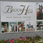 The Egyptian Event 2009 Fun Photos