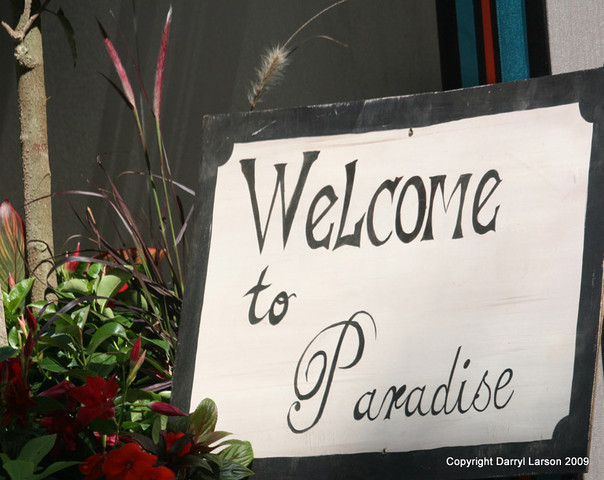 The Egyptian Event 2009 Fun Photos