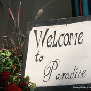 The Egyptian Event 2009 Fun Photos