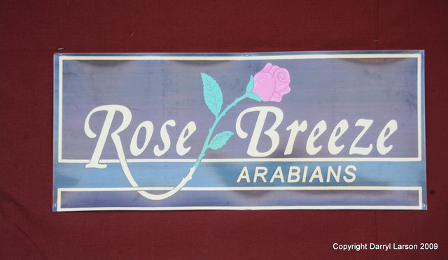 The Egyptian Event 2009 Fun Photos