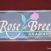 The Egyptian Event 2009 Fun Photos