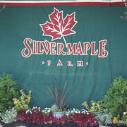 The Egyptian Event 2009 Fun Photos