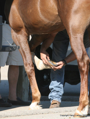 The Egyptian Event 2009 Fun Photos