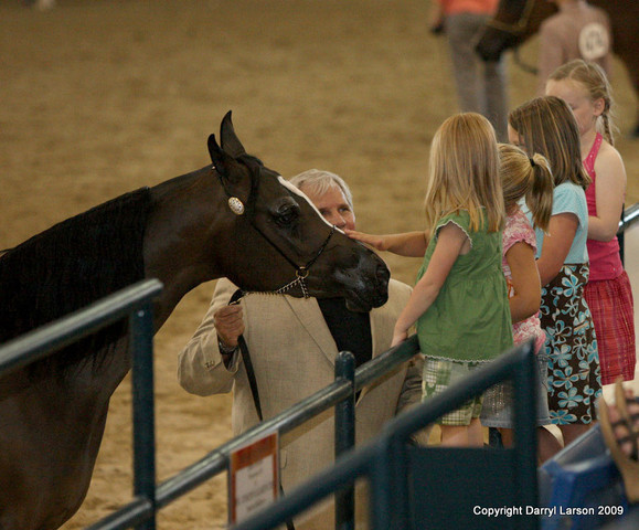 The Egyptian Event 2009 Fun Photos