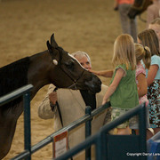 The Egyptian Event 2009 Fun Photos