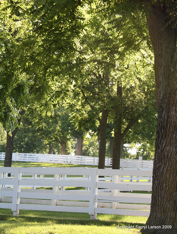 The Egyptian Event 2009 Fun Photos