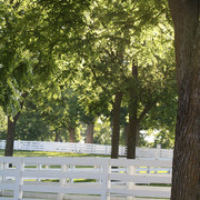 The Egyptian Event 2009 Fun Photos