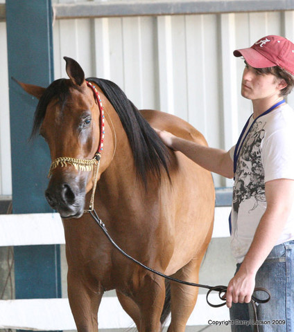 The Egyptian Event 2009 Fun Photos