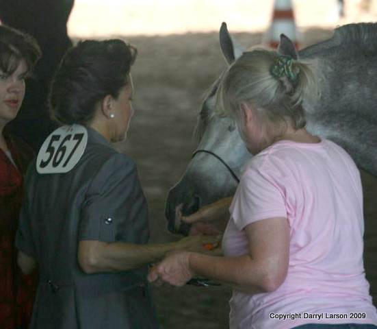 The Egyptian Event 2009 Fun Photos