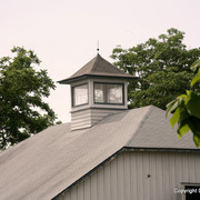 The Egyptian Event 2009 Fun Photos