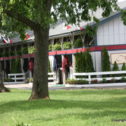 The Egyptian Event 2009 Fun Photos