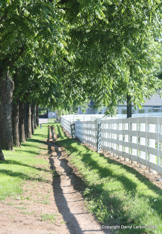 The Egyptian Event 2009 Fun Photos