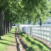 The Egyptian Event 2009 Fun Photos