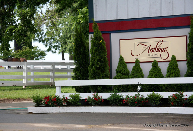 The Egyptian Event 2009 Fun Photos