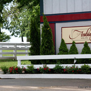 The Egyptian Event 2009 Fun Photos