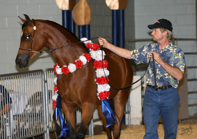 2009 Region 12 Spotlight