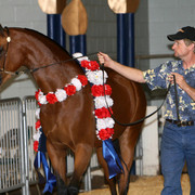 2009 Region 12 Spotlight