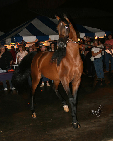 2009 Region 12 Spotlight