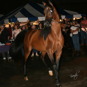 2009 Region 12 Spotlight