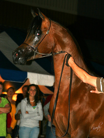 2009 Region 12 Spotlight