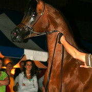 2009 Region 12 Spotlight