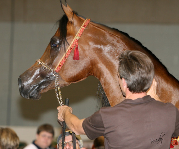 2009 Region 12 Spotlight