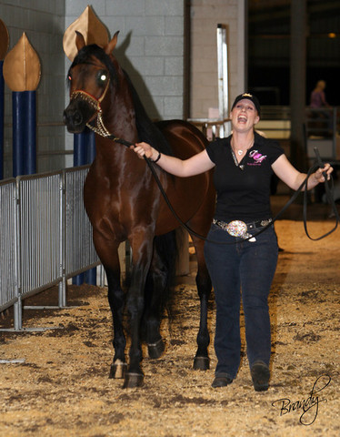 2009 Region 12 Spotlight