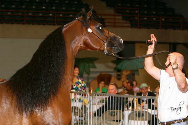 2009 Region 12 Spotlight