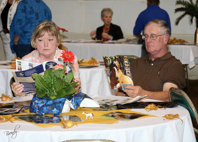 2009 Region 12 Spotlight