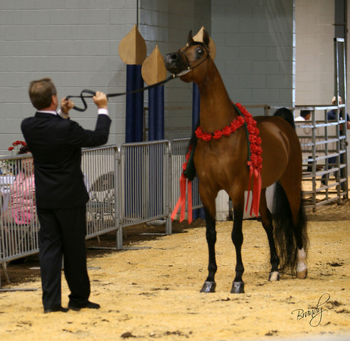 2009 Region 12 Spotlight